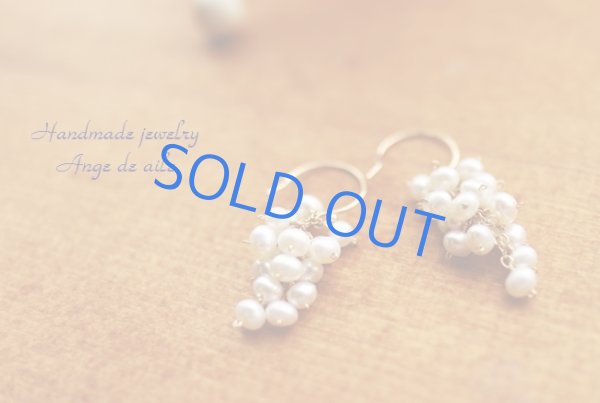 画像2: Mさま　ご注文ページ (2)