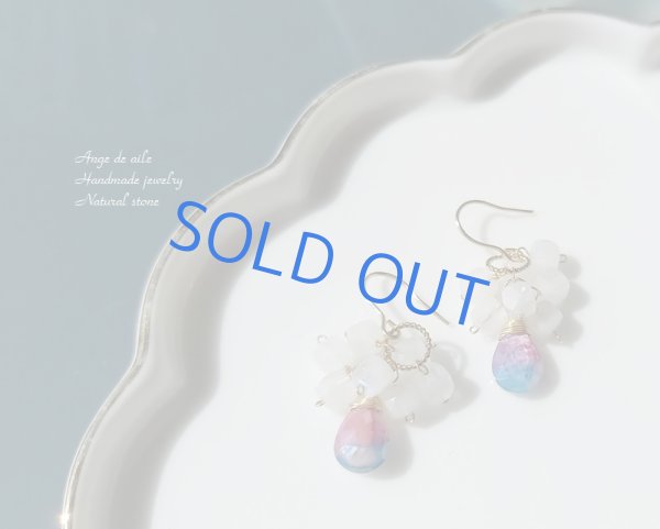 画像2: Aさまご注文ページ (2)