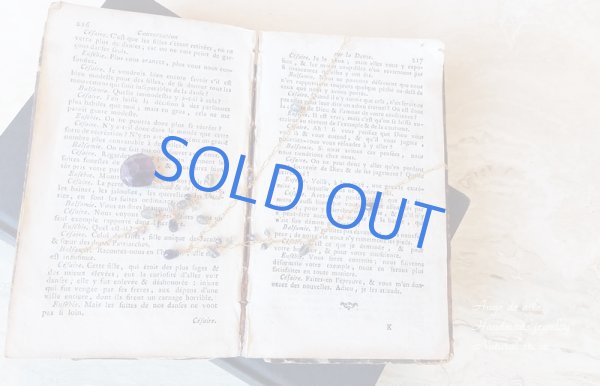 画像3: Iさまご注文ページ (3)