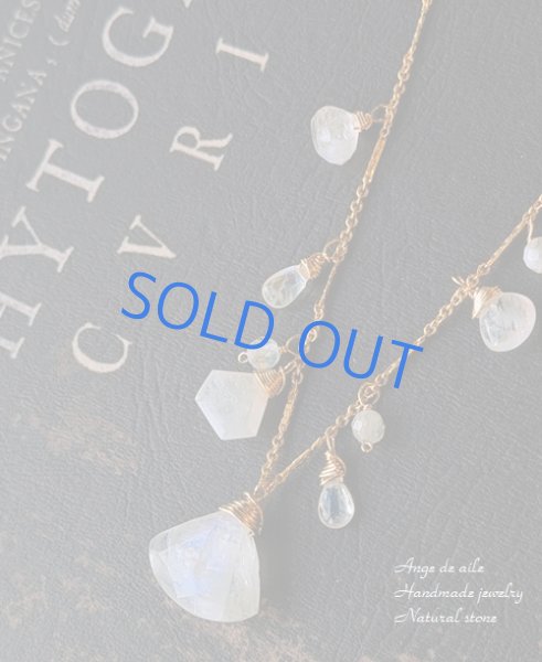 画像1: Hさま専用ページ (1)